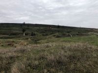 , Buiceşti, Valea ailaltă (Valea Olteni)<br /><a href='http://foto.cimec.ro/RAN/i1/B0F49493C8DC4BBFB537D107AC3050E2.jpg' target=_blank>Display the same picture in a new window</a>. Author: Aurelia Grosu. Title: Fotografie de teren. Source: Aurelia Grosu, Fișă analitică de evidență, Buiceşti, Valea ailaltă (Valea Olteni)<br /><a href='http://foto.cimec.ro/RAN/i1/8C2C4C3CC4484A799C692DCFE5B90905.jpg' target=_blank>Display the same picture in a new window</a>. Author: Aurelia Grosu. Title: Fotografie de teren. Source: Aurelia Grosu, Fișă analitică de evidență