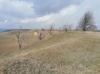 , Diocheţi Rediu, Piatra Ursului (Râpa Seculară)<br /><a href='http://foto.cimec.ro/RAN/i1/1EB2F85561634FF582F127B69929D6E1.jpg' target=_blank>Display the same picture in a new window</a>. Source: Stănică Pandrea, Costin Croitoru, „Studiul arheologic al PUG-ului comunei Movilița, județul Vrancea”, 2022, p. 24., Diocheţi Rediu, Piatra Ursului (Râpa Seculară)<br /><a href='http://foto.cimec.ro/RAN/i1/D433DCC3CBD54DC98CDD3C63BBD9B96D.jpg' target=_blank>Display the same picture in a new window</a>. Source: Stănică Pandrea, Costin Croitoru, „Studiul arheologic al PUG-ului comunei Movilița, județul Vrancea”, 2022, p. 24.