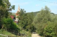 , Moruţ<br /><a href='http://foto.cimec.ro/RAN/i1/129AAEE5EBDF4ACDB5B18D8942192CD1.jpg' target=_blank>Priveşte aceeaşi imagine într-o fereastră nouă</a>. Autor: Țetcu Mircea Rareș. Sursa: Wikipedia