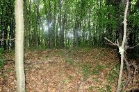 , Sângeorgiu De Meseş, Dealul Boului-Măguriţa (Dealul Prislop 1)<br /><a href='http://foto.cimec.ro/RAN/i1/F973083F56EA41F79F0A6F95BF27F131.jpg' target=_blank>Display the same picture in a new window</a>. Author: Horațiu Cociș. Source: „LIMES. Frontiers of the Roman Empire - Dacia”. Components parts, vol 1 (Nomination for inscription on the World Heritage List), 2023., Sângeorgiu De Meseş, Dealul Boului-Măguriţa (Dealul Prislop 1)<br /><a href='http://foto.cimec.ro/RAN/i1/913EC59F5D2541A18D35695849D0E0E9.jpg' target=_blank>Display the same picture in a new window</a>. Author: Muzeul Național de Istorie a Transilvaniei. Source: „LIMES. Frontiers of the Roman Empire - Dacia”. Components parts, vol 1 (Nomination for inscription on the World Heritage List), 2023., Sângeorgiu De Meseş, Dealul Boului-Măguriţa (Dealul Prislop 1)<br /><a href='http://foto.cimec.ro/RAN/i1/DA87F90ACCD54A228EDD4D589820E43E.jpg' target=_blank>Display the same picture in a new window</a>. Author: Radu Zăgreanu. Source: „LIMES. Frontiers of the Roman Empire - Dacia”. Components parts, vol 1 (Nomination for inscription on the World Heritage List), 2023.