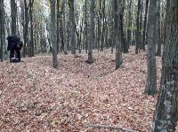 , Treznea, Vârful Tedişului (Vârful Teghişului)<br /><a href='http://foto.cimec.ro/RAN/i1/4E5D9951A5844293A99A0837DDE96C33.jpg' target=_blank>Priveşte aceeaşi imagine într-o fereastră nouă</a>. Autor: Horațiu Cociș. Sursa: „LIMES. Frontiers of the Roman Empire - Dacia”. Components parts, vol 1 (Nomination for inscription on the World Heritage List), 2023., Treznea, Vârful Tedişului (Vârful Teghişului)<br /><a href='http://foto.cimec.ro/RAN/i1/F6EA1F0B31FB471883A054951D91DB93.jpg' target=_blank>Priveşte aceeaşi imagine într-o fereastră nouă</a>. Autor: Muzeul Național de Istorie a Transilvaniei. Sursa: „LIMES. Frontiers of the Roman Empire - Dacia”. Components parts, vol 1 (Nomination for inscription on the World Heritage List), 2023., Treznea, Vârful Tedişului (Vârful Teghişului)<br /><a href='http://foto.cimec.ro/RAN/i1/A2A4BADD0ACA4603BFFA30731BF40497.jpg' target=_blank>Priveşte aceeaşi imagine într-o fereastră nouă</a>. Autor: Radu Zăgreanu. Sursa: „LIMES. Frontiers of the Roman Empire - Dacia”. Components parts, vol 1 (Nomination for inscription on the World Heritage List), 2023.