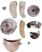 Chronicle of the Archaeological Excavations in Romania, 2000 Campaign. Report no. 18, Beciu, Cariera de argilă<br /><a href='http://foto.cimec.ro/cronica/2000/018/11.jpg' target=_blank>Display the same picture in a new window</a>