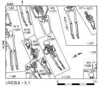 Chronicle of the Archaeological Excavations in Romania, 2000 Campaign. Report no. 109, Livezile<br /><a href='http://foto.cimec.ro/cronica/2000/109/p2.jpg' target=_blank>Display the same picture in a new window</a>