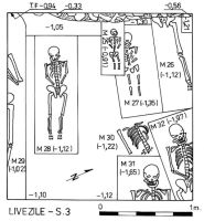 Chronicle of the Archaeological Excavations in Romania, 2000 Campaign. Report no. 109, Livezile<br /><a href='http://foto.cimec.ro/cronica/2000/109/p4.jpg' target=_blank>Display the same picture in a new window</a>