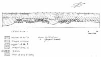 Chronicle of the Archaeological Excavations in Romania, 2000 Campaign. Report no. 149, Pietroasele, În vatra satului şi în zona Primăriei<br /><a href='http://foto.cimec.ro/cronica/2000/149/pl5.jpg' target=_blank>Display the same picture in a new window</a>