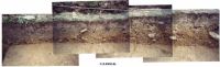 Chronicle of the Archaeological Excavations in Romania, 2000 Campaign. Report no. 174, Roşia Montană, Zona Orlea - Tăul Secuilor<br /><a href='http://foto.cimec.ro/cronica/2000/174/ROSPROF.jpg' target=_blank>Display the same picture in a new window</a>