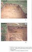 Cronica Cercetărilor Arheologice din România, Campania 2000. Raportul nr. 174, Roşia Montană, La Hop-Găuri<br /><a href='http://foto.cimec.ro/cronica/2000/174/untitled-1-copy-6.jpg' target=_blank>Priveşte aceeaşi imagine într-o fereastră nouă</a>
