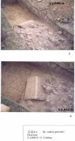Chronicle of the Archaeological Excavations in Romania, 2000 Campaign. Report no. 174, Roşia Montană, La Hop-Găuri<br /><a href='http://foto.cimec.ro/cronica/2000/174/untitled-6-copy.jpg' target=_blank>Display the same picture in a new window</a>