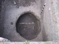 Chronicle of the Archaeological Excavations in Romania, 2000 Campaign. Report no. 198, Şeuşa, Gorgan<br /><a href='http://foto.cimec.ro/cronica/2000/198/fig2-c-1.jpg' target=_blank>Display the same picture in a new window</a>