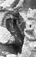Chronicle of the Archaeological Excavations in Romania, 2000 Campaign. Report no. 211, Turda, Dealul Cetăţii (Dealul Viilor)<br /><a href='http://foto.cimec.ro/cronica/2000/211/castru11an.gif' target=_blank>Display the same picture in a new window</a>