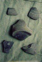 Cronica Cercetărilor Arheologice din România, Campania 2000. Raportul nr. 219, Vaslui<br /><a href='http://foto.cimec.ro/cronica/2000/219/03.jpg' target=_blank>Priveşte aceeaşi imagine într-o fereastră nouă</a>