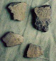 Cronica Cercetărilor Arheologice din România, Campania 2000. Raportul nr. 219, Vaslui<br /><a href='http://foto.cimec.ro/cronica/2000/219/24.jpg' target=_blank>Priveşte aceeaşi imagine într-o fereastră nouă</a>