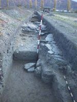 Cronica Cercetărilor Arheologice din România, Campania 2000. Raportul nr. 224