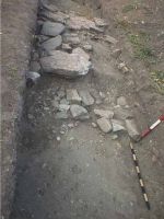 Cronica Cercetărilor Arheologice din România, Campania 2000. Raportul nr. 224