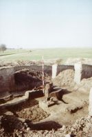 Chronicle of the Archaeological Excavations in Romania, 2001 Campaign. Report no. 2, Adâncata, Imaş<br /><a href='http://foto.cimec.ro/cronica/2001/002/t2-central-demontare.JPG' target=_blank>Display the same picture in a new window</a>