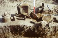 Chronicle of the Archaeological Excavations in Romania, 2001 Campaign. Report no. 2, Adâncata, Imaş.<br /> Sector T8-2003.<br /><a href='http://foto.cimec.ro/cronica/2001/002/t2-craniu-adult-mormant-c.JPG' target=_blank>Display the same picture in a new window</a>