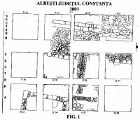 Chronicle of the Archaeological Excavations in Romania, 2001 Campaign. Report no. 13, Albeşti, La Cetate<br /><a href='http://foto.cimec.ro/cronica/2001/013/planAlb.jpg' target=_blank>Display the same picture in a new window</a>