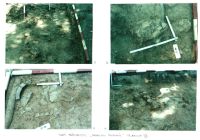 Chronicle of the Archaeological Excavations in Romania, 2001 Campaign. Report no. 26, Băneşti, Dealul Domnii<br /><a href='http://foto.cimec.ro/cronica/2001/026/Pl7.jpg' target=_blank>Display the same picture in a new window</a>