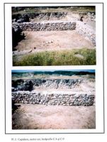 Chronicle of the Archaeological Excavations in Romania, 2001 Campaign. Report no. 49, Capidava, Cetate<br /><a href='http://foto.cimec.ro/cronica/2001/049/sectorestpl1.jpg' target=_blank>Display the same picture in a new window</a>