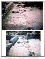 Chronicle of the Archaeological Excavations in Romania, 2001 Campaign. Report no. 49, Capidava, Cetate<br /><a href='http://foto.cimec.ro/cronica/2001/049/sectorestpl3.jpg' target=_blank>Display the same picture in a new window</a>
