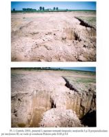 Chronicle of the Archaeological Excavations in Romania, 2001 Campaign. Report no. 53, Castelu<br /><a href='http://foto.cimec.ro/cronica/2001/053/p1.jpg' target=_blank>Display the same picture in a new window</a>