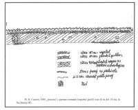 Chronicle of the Archaeological Excavations in Romania, 2001 Campaign. Report no. 53, Castelu<br /><a href='http://foto.cimec.ro/cronica/2001/053/p2.jpg' target=_blank>Display the same picture in a new window</a>