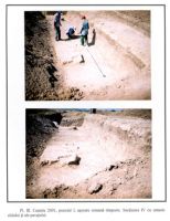 Chronicle of the Archaeological Excavations in Romania, 2001 Campaign. Report no. 53, Castelu<br /><a href='http://foto.cimec.ro/cronica/2001/053/p3.jpg' target=_blank>Display the same picture in a new window</a>