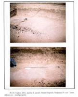 Cronica Cercetărilor Arheologice din România, Campania 2001. Raportul nr. 53, Castelu<br /><a href='http://foto.cimec.ro/cronica/2001/053/p4.jpg' target=_blank>Priveşte aceeaşi imagine într-o fereastră nouă</a>