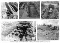 Cronica Cercetărilor Arheologice din România, Campania 2001. Raportul nr. 66