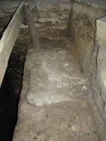 Chronicle of the Archaeological Excavations in Romania, 2001 Campaign. Report no. 111, Hârlău<br /><a href='http://foto.cimec.ro/cronica/2001/111/P1010089.JPG' target=_blank>Display the same picture in a new window</a>