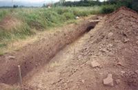 Chronicle of the Archaeological Excavations in Romania, 2001 Campaign. Report no. 117, Iaz, Traianu („Troianul Mare“, Traianu, La Drum)<br /><a href='http://foto.cimec.ro/cronica/2001/117/002.jpg' target=_blank>Display the same picture in a new window</a>