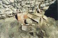 Chronicle of the Archaeological Excavations in Romania, 2001 Campaign. Report no. 128, Jurilovca<br /><a href='http://foto.cimec.ro/cronica/2001/128/foto-9.JPG' target=_blank>Display the same picture in a new window</a>