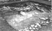Cronica Cercetărilor Arheologice din România, Campania 2001. Raportul nr. 149, Murighiol, La Cetate (Bataraia).<br /> Sectorul SECTOR-TURNUL-11.<br /><a href='http://foto.cimec.ro/cronica/2001/149/2.JPG' target=_blank>Priveşte aceeaşi imagine într-o fereastră nouă</a>