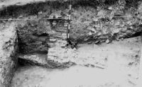 Cronica Cercetărilor Arheologice din România, Campania 2001. Raportul nr. 149, Murighiol, La Cetate (Bataraia).<br /> Sectorul SECTOR-TURNUL-11.<br /><a href='http://foto.cimec.ro/cronica/2001/149/3.JPG' target=_blank>Priveşte aceeaşi imagine într-o fereastră nouă</a>