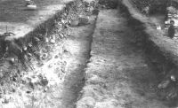 Cronica Cercetărilor Arheologice din România, Campania 2001. Raportul nr. 149, Murighiol, La Cetate (Bataraia).<br /> Sectorul SECTOR-TURNUL-11.<br /><a href='http://foto.cimec.ro/cronica/2001/149/5.JPG' target=_blank>Priveşte aceeaşi imagine într-o fereastră nouă</a>