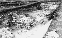Cronica Cercetărilor Arheologice din România, Campania 2001. Raportul nr. 149, Murighiol, La Cetate (Bataraia).<br /> Sectorul SECTOR-TURNUL-11.<br /><a href='http://foto.cimec.ro/cronica/2001/149/8.JPG' target=_blank>Priveşte aceeaşi imagine într-o fereastră nouă</a>
