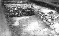 Cronica Cercetărilor Arheologice din România, Campania 2001. Raportul nr. 149