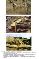 Cronica Cercetărilor Arheologice din România, Campania 2001. Raportul nr. 166, Pietroasa Mică, Gruiu Dării<br /><a href='http://foto.cimec.ro/cronica/2001/166/Fig-002.jpg' target=_blank>Priveşte aceeaşi imagine într-o fereastră nouă</a>