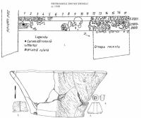 Cronica Cercetărilor Arheologice din România, Campania 2001. Raportul nr. 167