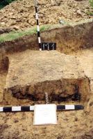 Chronicle of the Archaeological Excavations in Romania, 2001 Campaign. Report no. 181, Roşia Montană, Hop.<br /> Sector Imagini-detaliu-necropola.<br /><a href='http://foto.cimec.ro/cronica/2001/181/Imagini-detaliu-necropola/003.JPG' target=_blank>Display the same picture in a new window</a>