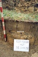 Chronicle of the Archaeological Excavations in Romania, 2001 Campaign. Report no. 181, Roşia Montană, Hop.<br /> Sector Imagini-detaliu-necropola.<br /><a href='http://foto.cimec.ro/cronica/2001/181/Imagini-detaliu-necropola/007.JPG' target=_blank>Display the same picture in a new window</a>