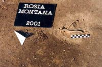 Chronicle of the Archaeological Excavations in Romania, 2001 Campaign. Report no. 181, Roşia Montană, Hop.<br /> Sector Imagini-detaliu-necropola.<br /><a href='http://foto.cimec.ro/cronica/2001/181/Imagini-detaliu-necropola/014.JPG' target=_blank>Display the same picture in a new window</a>