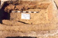 Chronicle of the Archaeological Excavations in Romania, 2001 Campaign. Report no. 181, Roşia Montană, Hop.<br /> Sector Imagini-detaliu-necropola.<br /><a href='http://foto.cimec.ro/cronica/2001/181/Imagini-detaliu-necropola/018.JPG' target=_blank>Display the same picture in a new window</a>