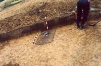 Chronicle of the Archaeological Excavations in Romania, 2001 Campaign. Report no. 181, Roşia Montană, Hop.<br /> Sector Imagini-detaliu-necropola.<br /><a href='http://foto.cimec.ro/cronica/2001/181/Imagini-detaliu-necropola/042.JPG' target=_blank>Display the same picture in a new window</a>