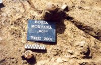 Chronicle of the Archaeological Excavations in Romania, 2001 Campaign. Report no. 181, Roşia Montană, Hop.<br /> Sector Imagini-detaliu-necropola.<br /><a href='http://foto.cimec.ro/cronica/2001/181/Imagini-detaliu-necropola/044.JPG' target=_blank>Display the same picture in a new window</a>