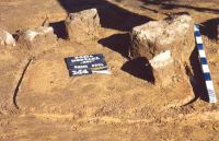 Chronicle of the Archaeological Excavations in Romania, 2001 Campaign. Report no. 181, Roşia Montană, Hop.<br /> Sector Imagini-detaliu-necropola.<br /><a href='http://foto.cimec.ro/cronica/2001/181/Imagini-detaliu-necropola/052.JPG' target=_blank>Display the same picture in a new window</a>
