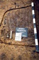 Chronicle of the Archaeological Excavations in Romania, 2001 Campaign. Report no. 181, Roşia Montană, Hop.<br /> Sector Imagini-detaliu-necropola.<br /><a href='http://foto.cimec.ro/cronica/2001/181/Imagini-detaliu-necropola/064.JPG' target=_blank>Display the same picture in a new window</a>
