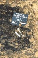 Cronica Cercetărilor Arheologice din România, Campania 2001. Raportul nr. 181.<br /> Sectorul Imagini-detaliu-necropola.