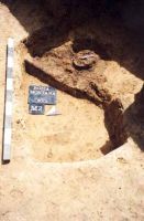 Cronica Cercetărilor Arheologice din România, Campania 2001. Raportul nr. 181.<br /> Sectorul Imagini-detaliu-necropola.