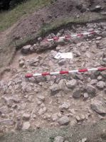 Cronica Cercetărilor Arheologice din România, Campania 2001. Raportul nr. 183.<br /> Sectorul Imagini.